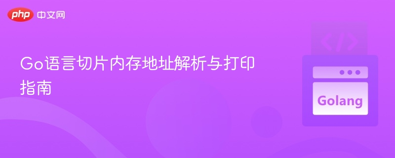 Go切片内存地址查看与打印技巧