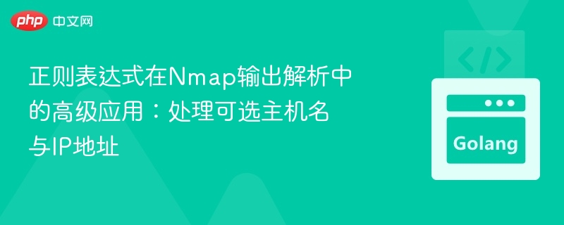 正则表达式在Nmap输出解析中的高级应用：处理可选主机名与IP地址