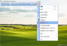 FastStoneCapture标尺使用方法详解
