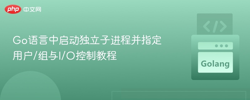 Go启动子进程控制用户组与I/O方法