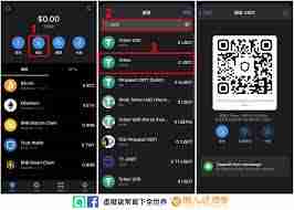 什么钱包能直接用于购买