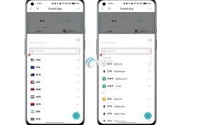 哪些钱包支持直接购买使用？