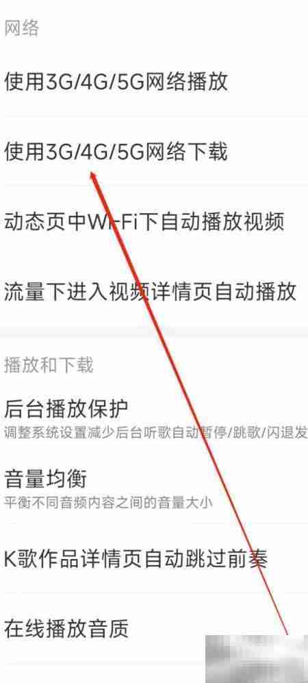 网易云音乐开启移动下载