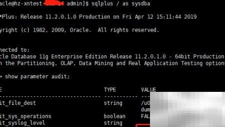Oracle审计日志关闭方法详解