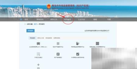 企业年报填写指南与技巧