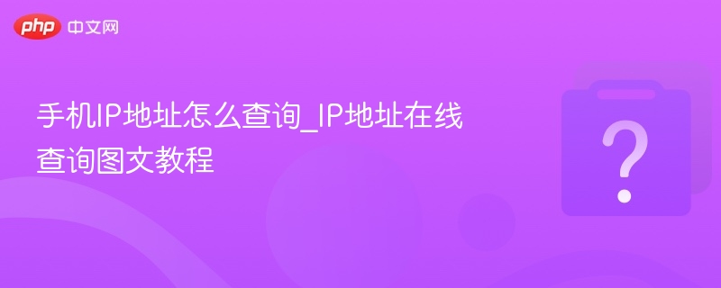 手机IP地址怎么查？教你快速查询方法