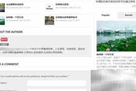 WordPress添加微博关注按钮