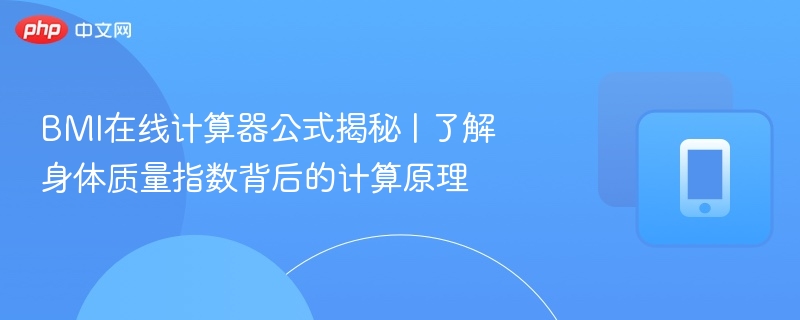 BMI计算器公式详解|如何计算身体质量指数