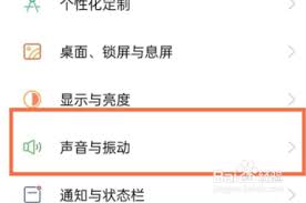 OPPOFindX3Pro免打扰怎么设置