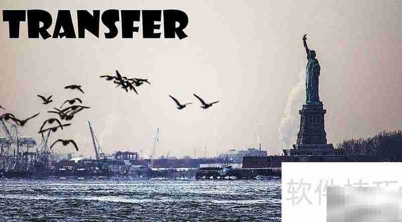 transfer的中文意思是什么