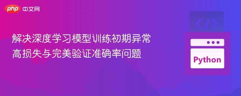 深度学习初期损失高准确率异常解决办法