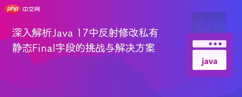 深入解析Java 17中反射修改私有静态Final字段的挑战与解决方案