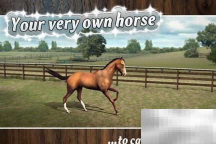 我的马评测：赛马模拟玩法体验分享