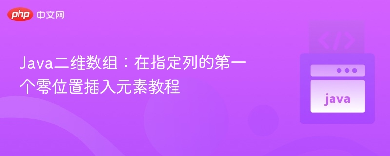 Java二维数组指定列插入元素技巧
