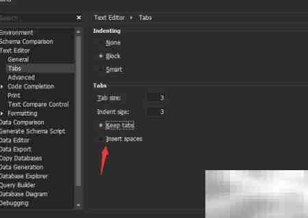 dbForge MySQL插入空格设置