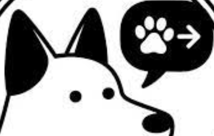 兽语翻译网怎么使用_兽语翻译网的服务内容与使用指南