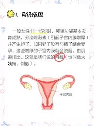 美柚发说说方法与技巧大全