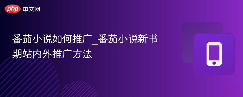 番茄小说如何推广_番茄小说新书期站内外推广方法