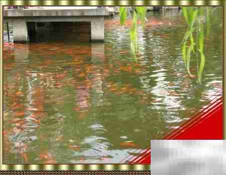 翻页相册制作全攻略