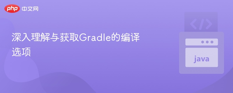 深入理解与获取Gradle的编译选项