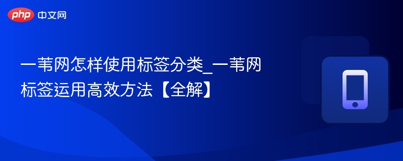 一苇网标签怎么用？高效分类技巧分享