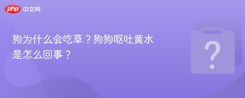 狗狗吃草原因及呕吐黄水应对方法