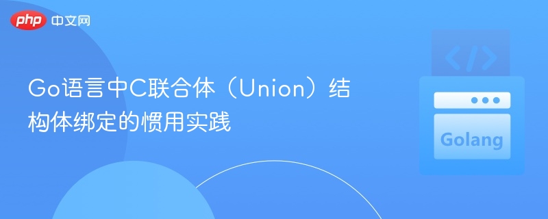 Go语言中C联合体(Union)结构体绑定的惯用实践