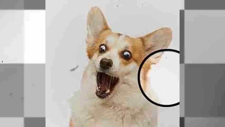 HitPaw Photo AI: 轻松升级模糊照片，打造创意设计