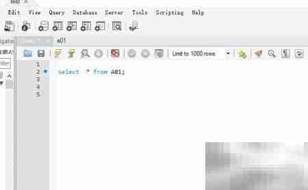 Workbench行数限制设置方法