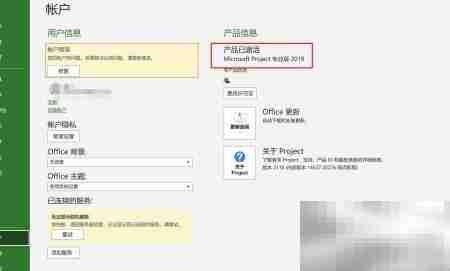 如何查看Project版本号