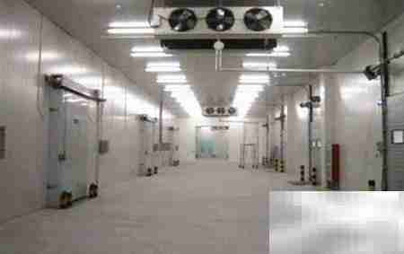 冷库经营秘诀：高效盈利指南