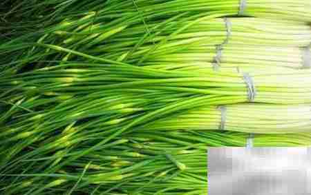 冷库经营秘诀：高效盈利指南