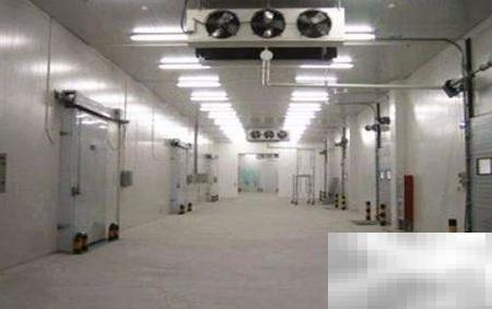 冷库经营技巧：高效盈利方法分享