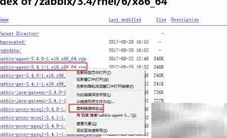 Zabbix Agent安装指南