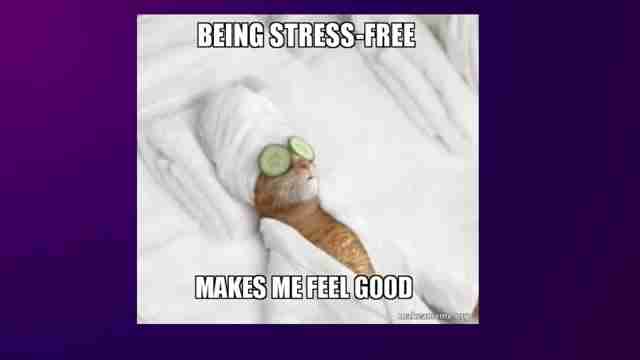 AI在软件测试中的应用：提升效率与质量的关键策略