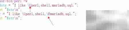 Perl大小写转换入门