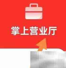 掌上期货查看营业厅指南