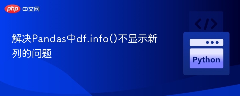 Pandasdf.info()不显示新列解决方法