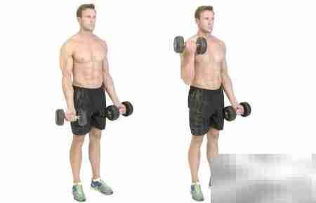 家庭哑铃训练指南