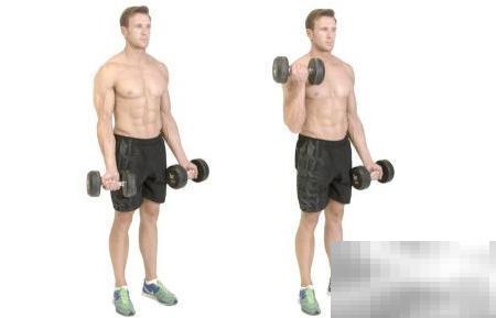 家庭哑铃训练技巧与计划全解析