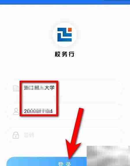 大学成绩查询方法指南