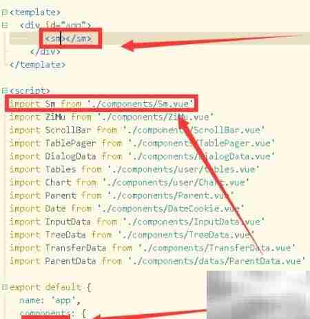 Vue data中变量使用方法