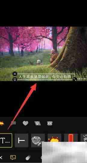 短视频动态字幕添加技巧