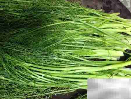 茴香蒸菜，家常美味