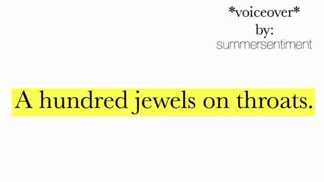 深度剖析Lorde《Team》歌词：隐喻、意象与社会反思