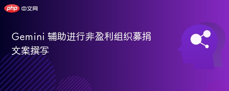 Gemini 辅助进行非盈利组织募捐文案撰写