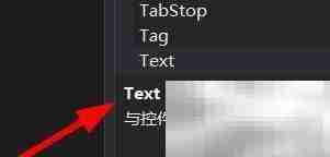 ElementHost文本属性设置技巧