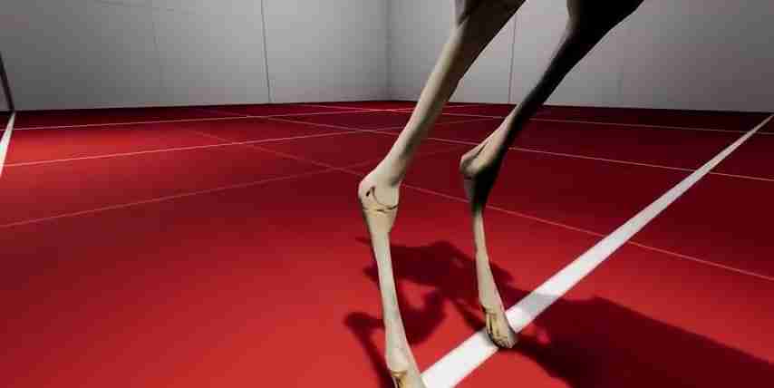 人工智能仿生机器人：强化学习与神经元网络的完美结合