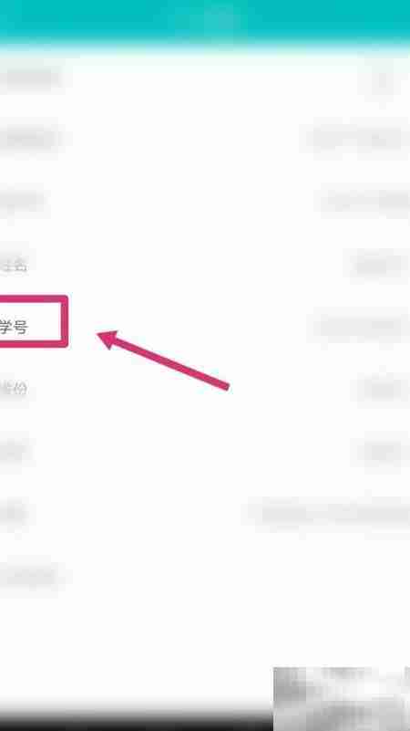 如何查看学号？一文读懂