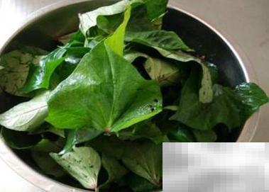 红薯叶蒸菜做法大全